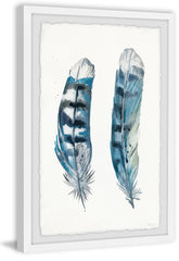 Blue Striped Feathers