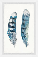 Blue Striped Feathers