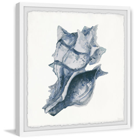 Indigo Shell