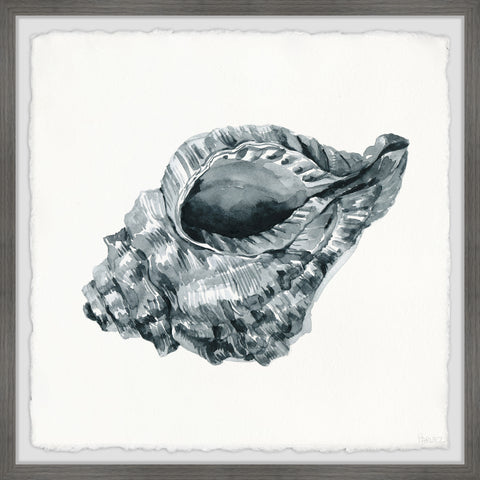 Metallic Seashell