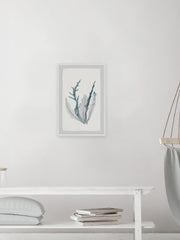 Blue Coral