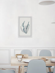 Blue Coral