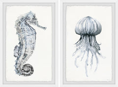 Seahorse and Jellyfish Diptych