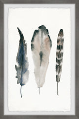 Textured Feathers