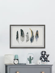Shaded Feathers