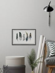Shaded Feathers