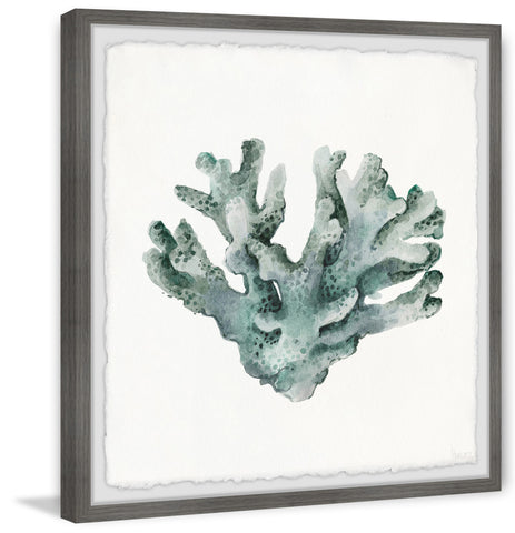 Faded Coral