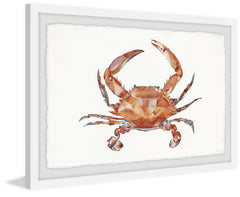 Orange King Crab