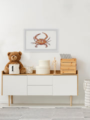Orange King Crab