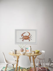 Orange King Crab