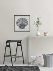 Pretty Gray Shell