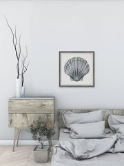Pretty Gray Shell