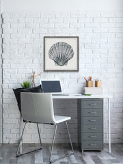 Pretty Gray Shell