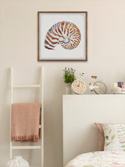 Tiger Shell