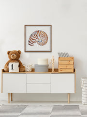 Tiger Shell