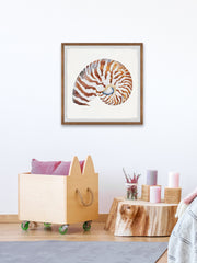 Tiger Shell