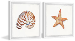 Starry Shell Diptych