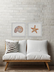 Starry Shell Diptych
