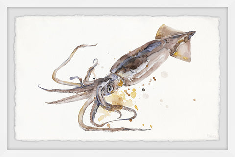 Big Squid