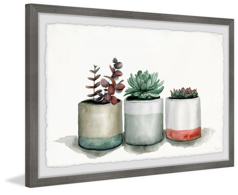 Triple Cactus Line