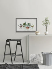 Cactus in a Bowl