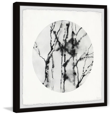 Winter Branch