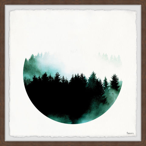 Jaded Forest