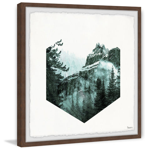 Hexagon Forest