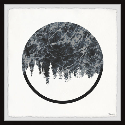 Forest Reflection