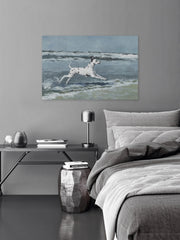 Splashing Dalmatian