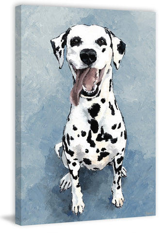 Ecstatic Dalmatian