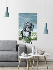 Beautiful Dachshund