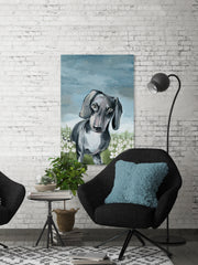 Beautiful Dachshund