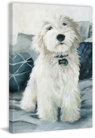 White Furry Friend