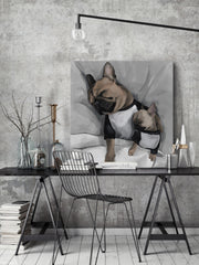 Sleeping Bulldogs
