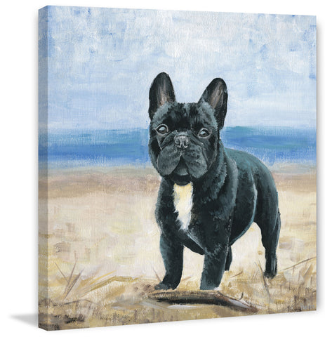 Bulldog by the Beach