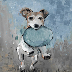 Jumping Frisbee Dog