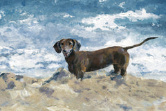 Enjoying the Sand
