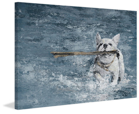 Swimming Dog
