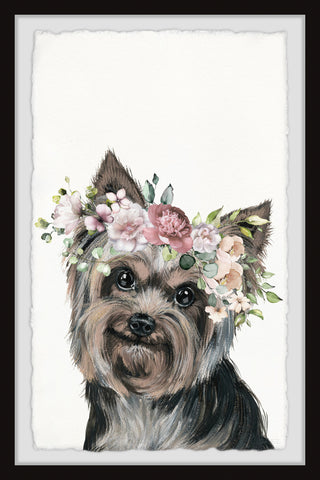 Sweet Little Dog