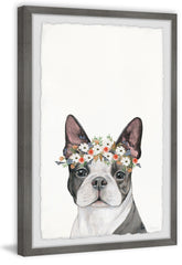Doggie Crown