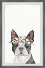 Doggie Crown