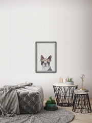 Doggie Crown