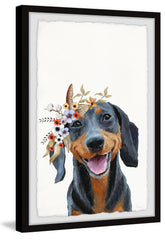 Cheerful Puppy