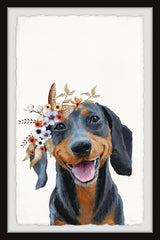 Cheerful Puppy