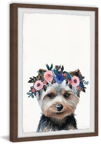 Primadonna Dog