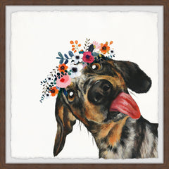 Goofy Dog