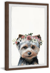Fashion Dog