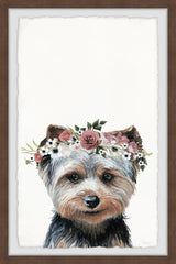 Fashion Dog