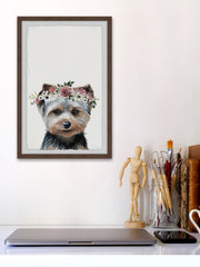 Fashion Dog